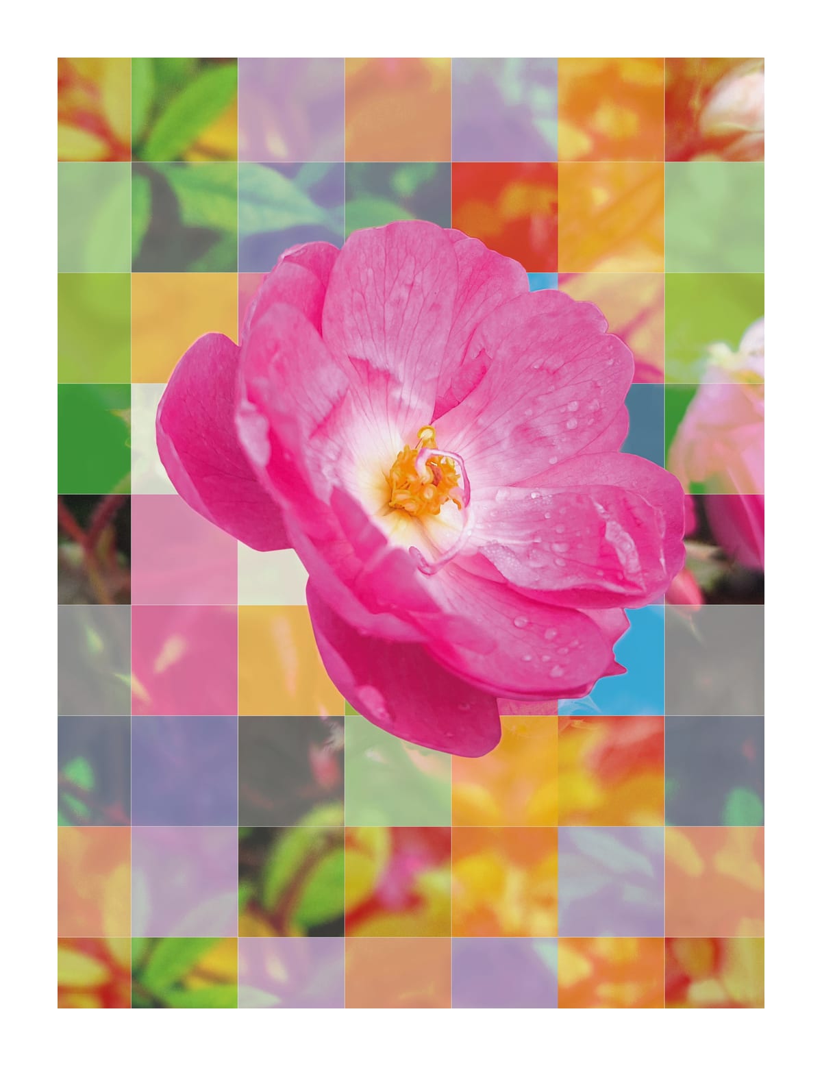 variant-27x35_with-margin
