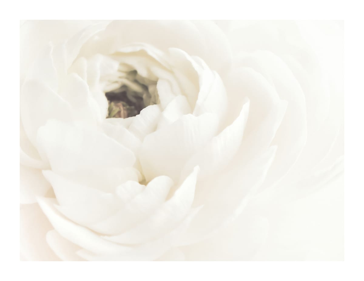 variant-27x35_with-margin
