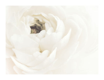 variant-27x35_with-margin