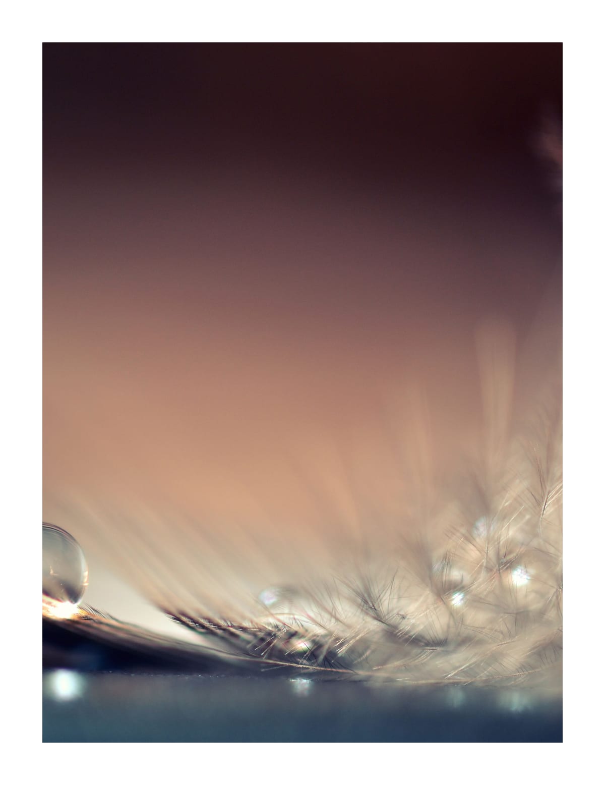 variant-27x35_with-margin