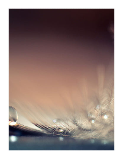 variant-27x35_with-margin