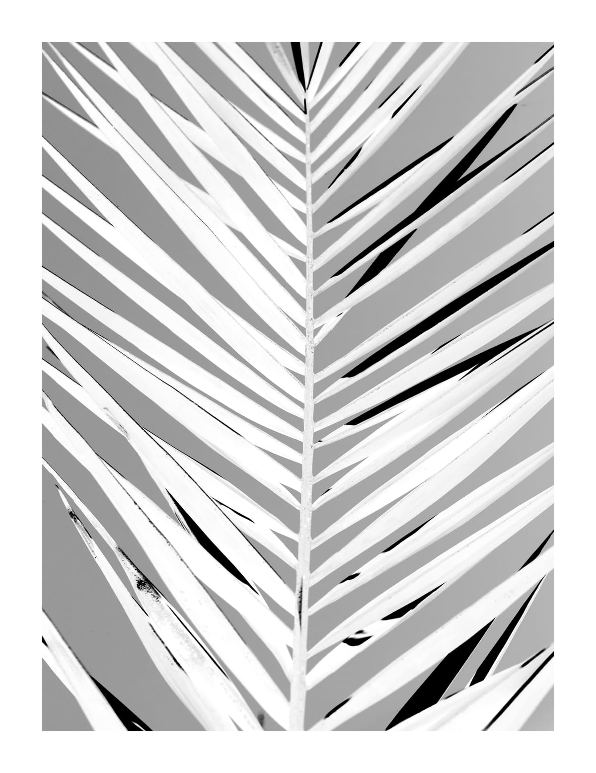variant-27x35_with-margin