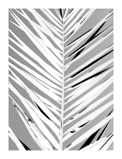 variant-27x35_with-margin