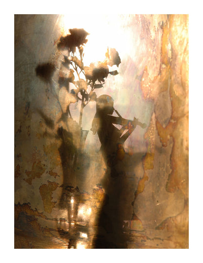 variant-27x35_with-margin