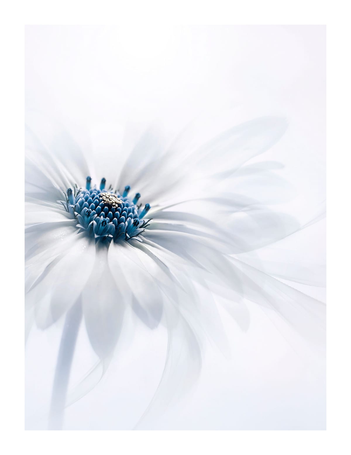 variant-27x35_with-margin