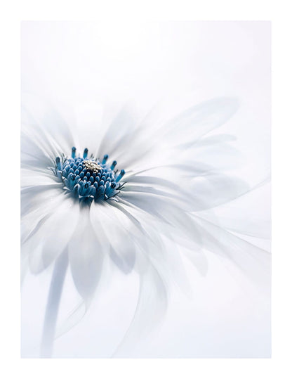 variant-27x35_with-margin