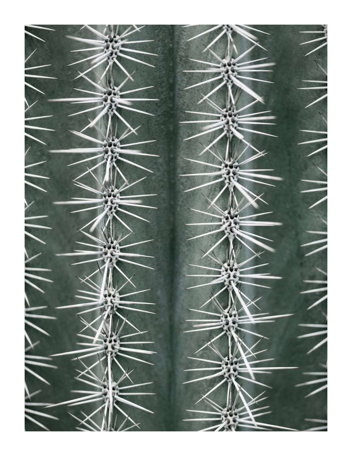 variant-27x35_with-margin