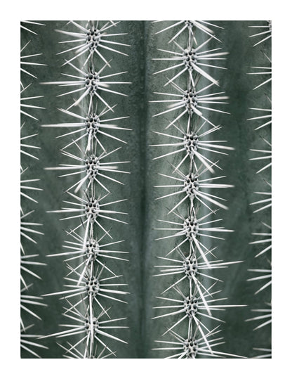 variant-27x35_with-margin