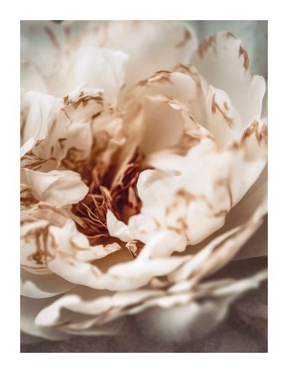 variant-27x35_with-margin