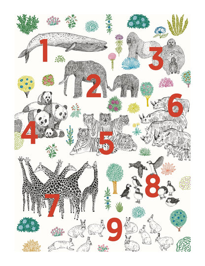 variant-27x35_with-margin