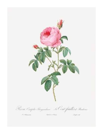 variant-27x35_with-margin