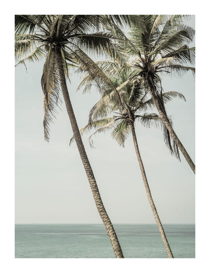 variant-27x35_with-margin