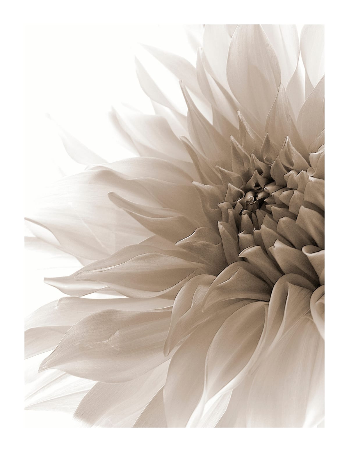 variant-27x35_with-margin