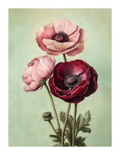 variant-27x35_with-margin