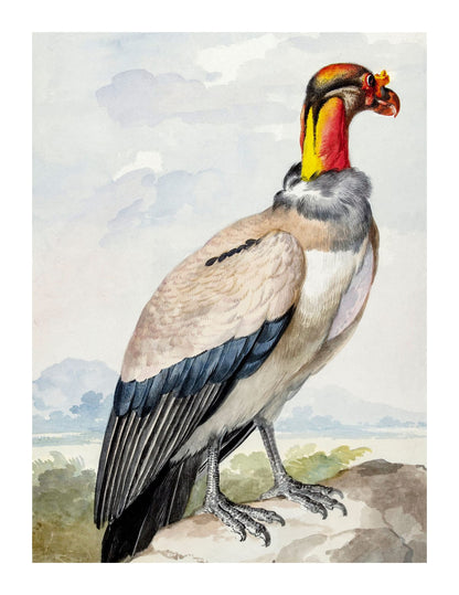 variant-27x35_with-margin