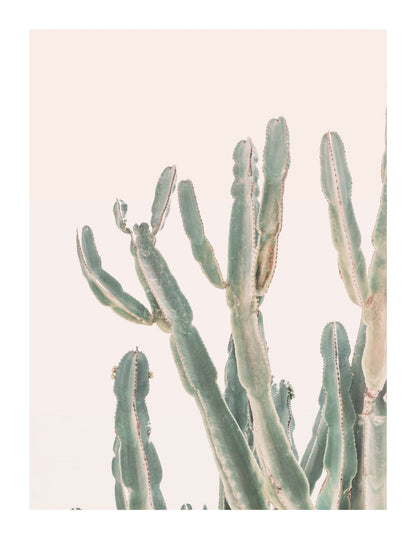 variant-27x35_with-margin