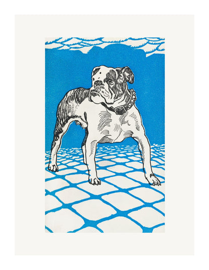 variant-27x35_with-margin