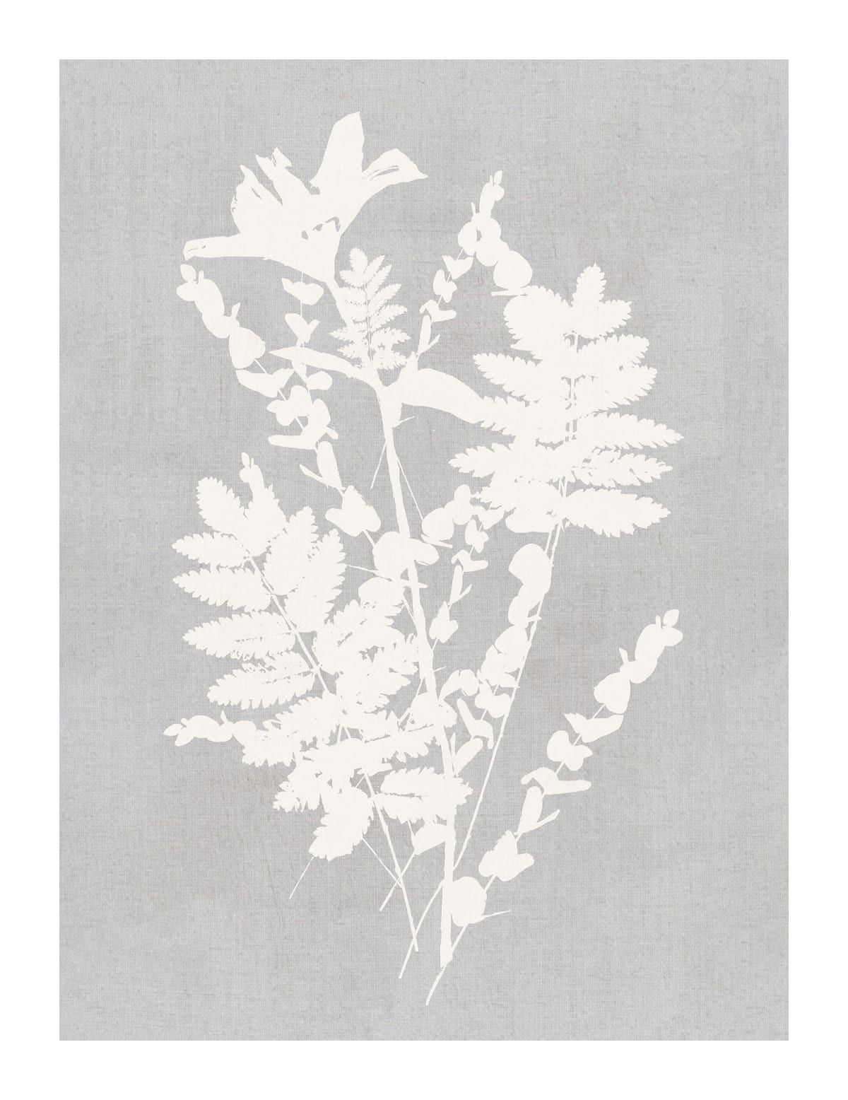 variant-27x35_with-margin