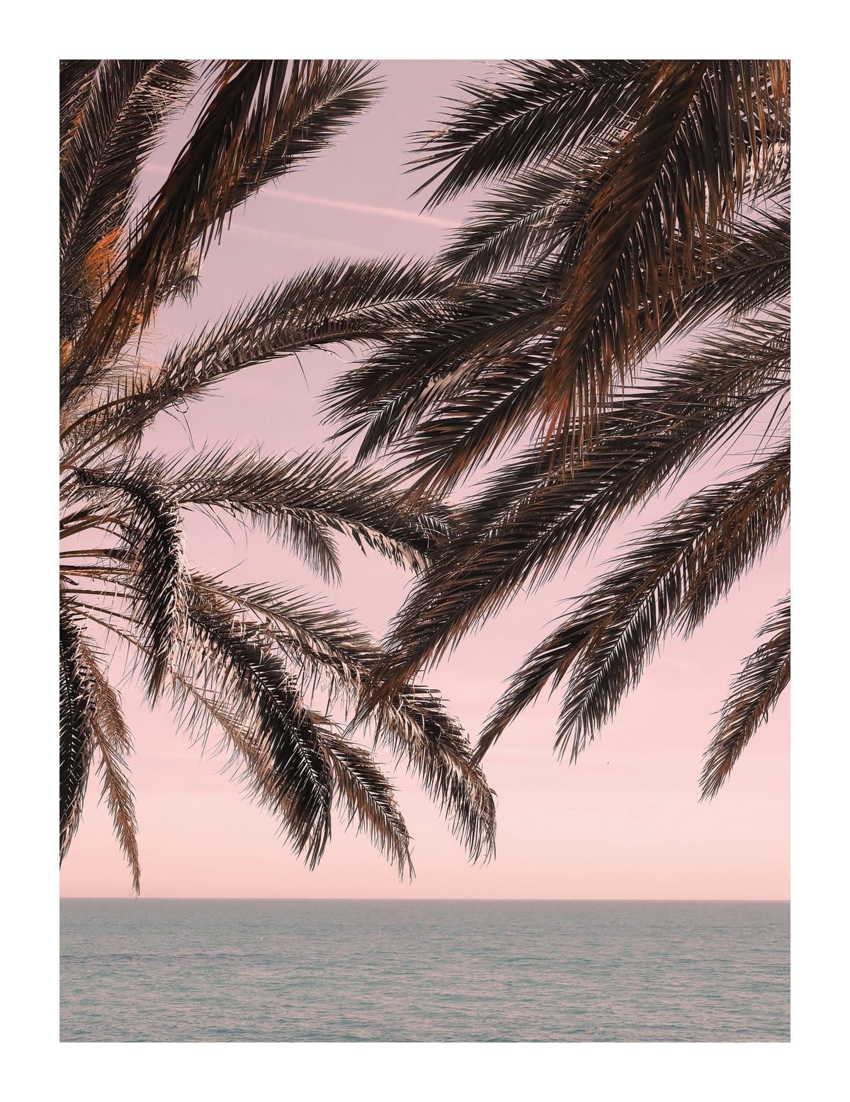 variant-27x35_with-margin