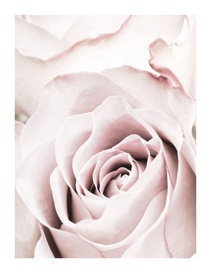 variant-27x35_with-margin