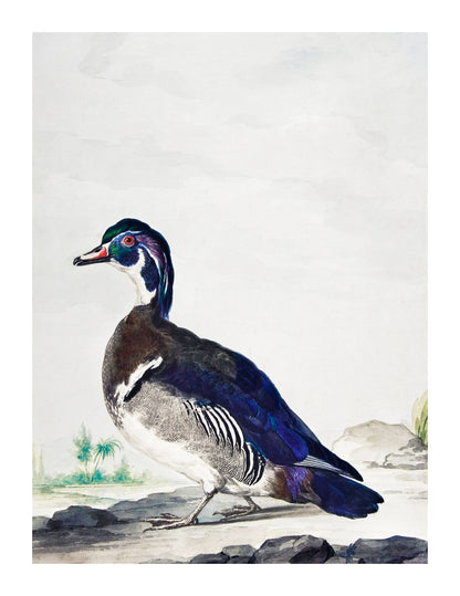 variant-27x35_with-margin