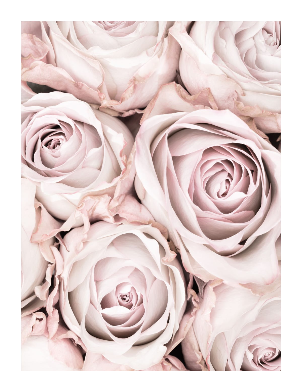 variant-27x35_with-margin