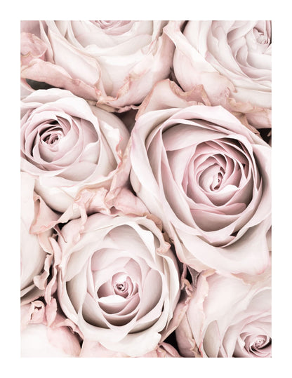 variant-27x35_with-margin