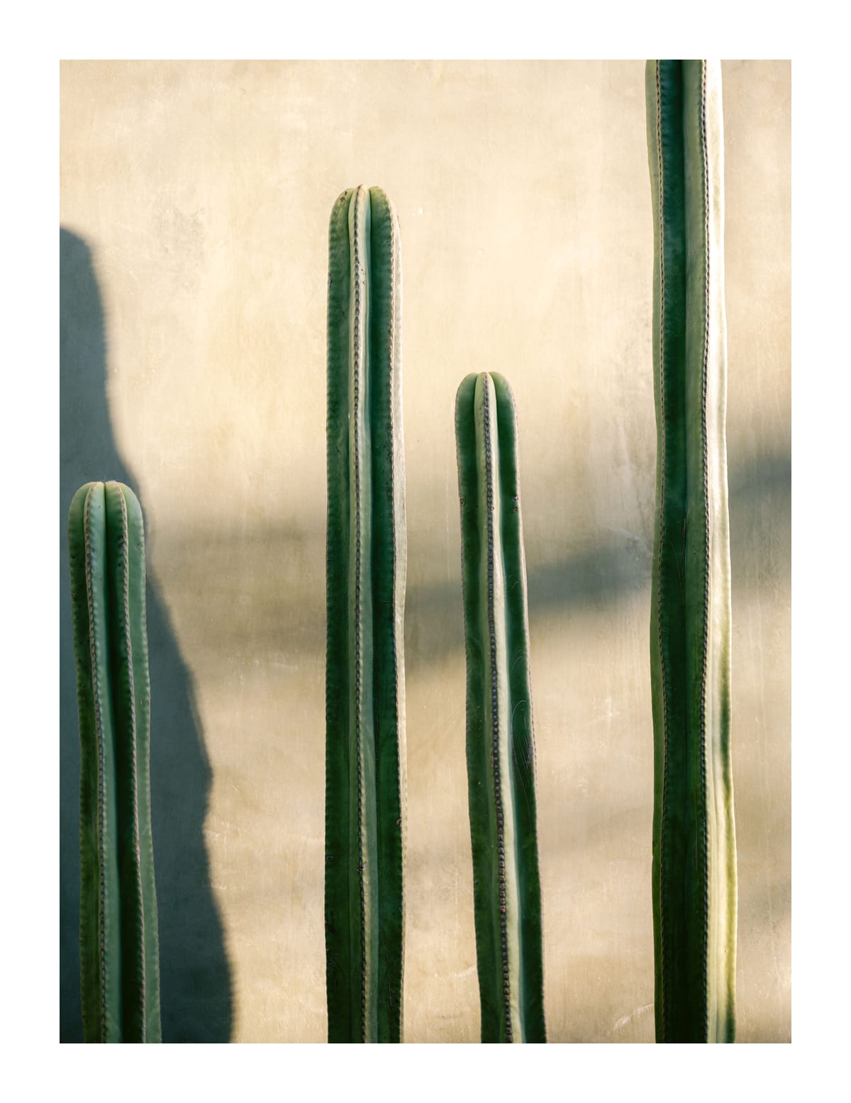 variant-27x35_with-margin