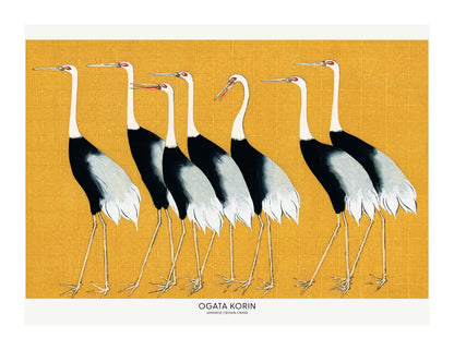 variant-27x35_with-margin
