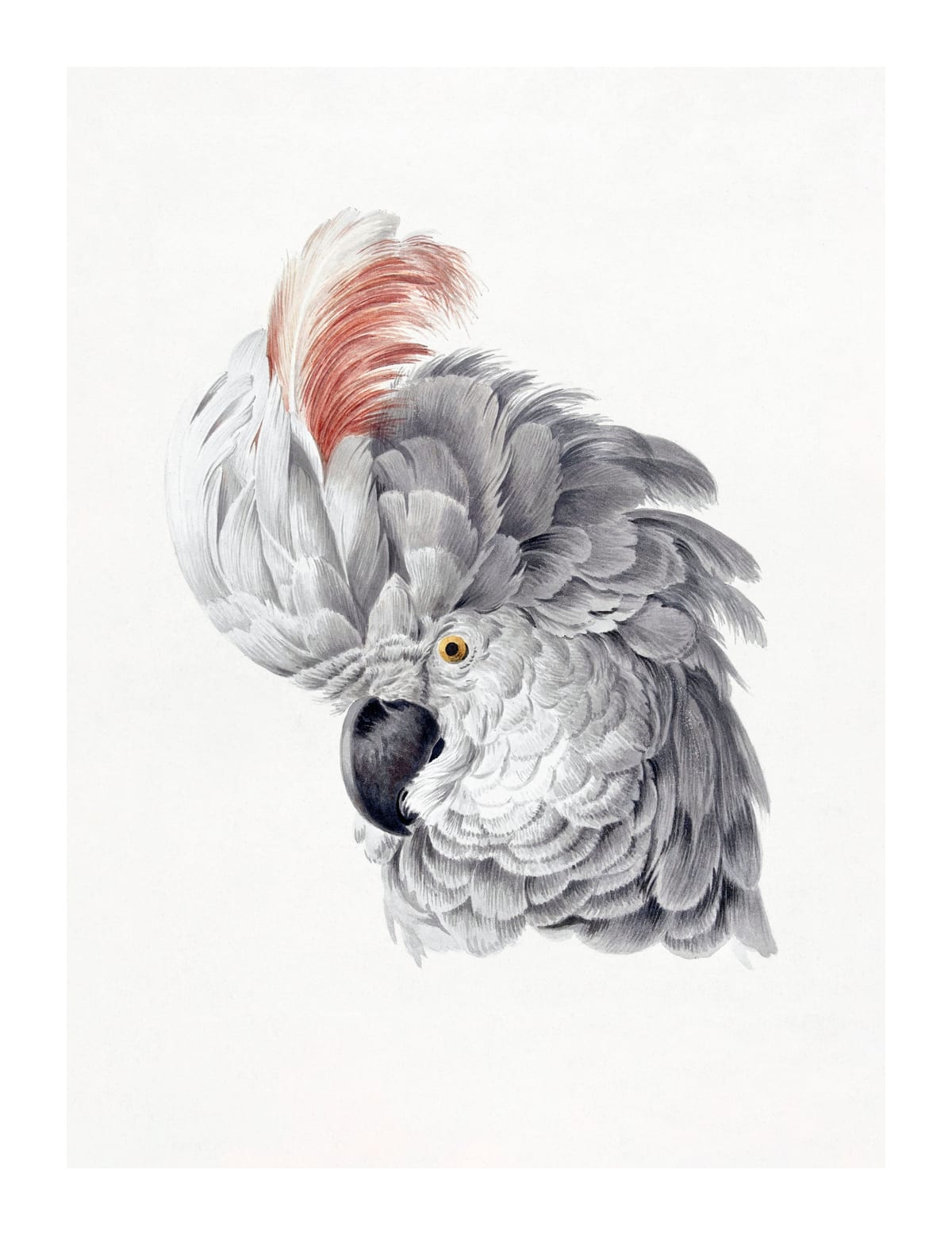 variant-27x35_with-margin