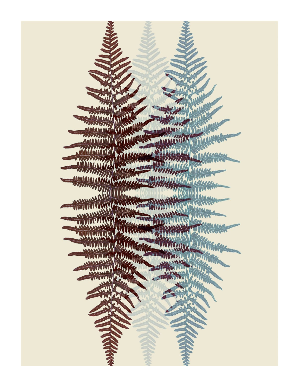 variant-27x35_with-margin