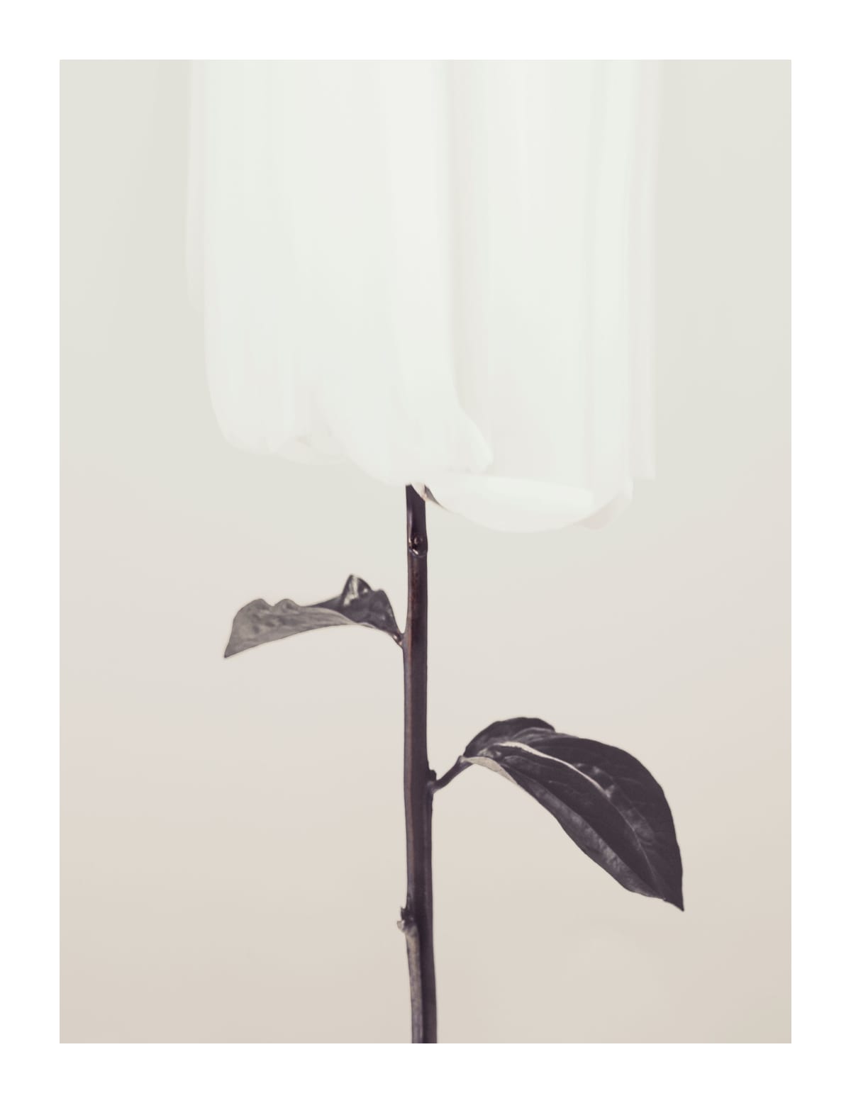 variant-27x35_with-margin