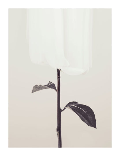 variant-27x35_with-margin