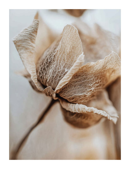 variant-27x35_with-margin