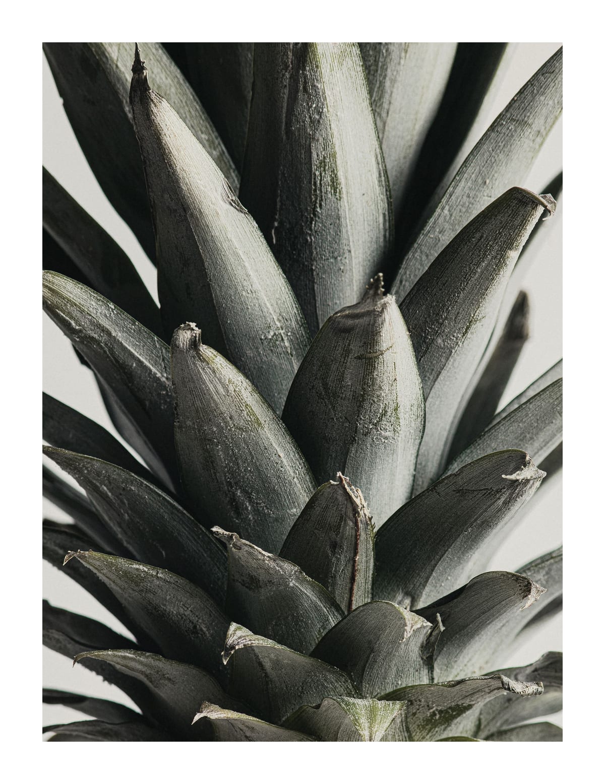 variant-27x35_with-margin