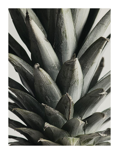 variant-27x35_with-margin