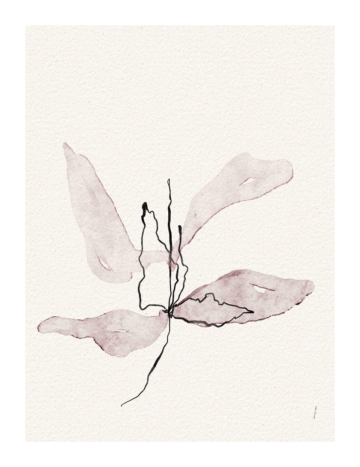 variant-27x35_with-margin