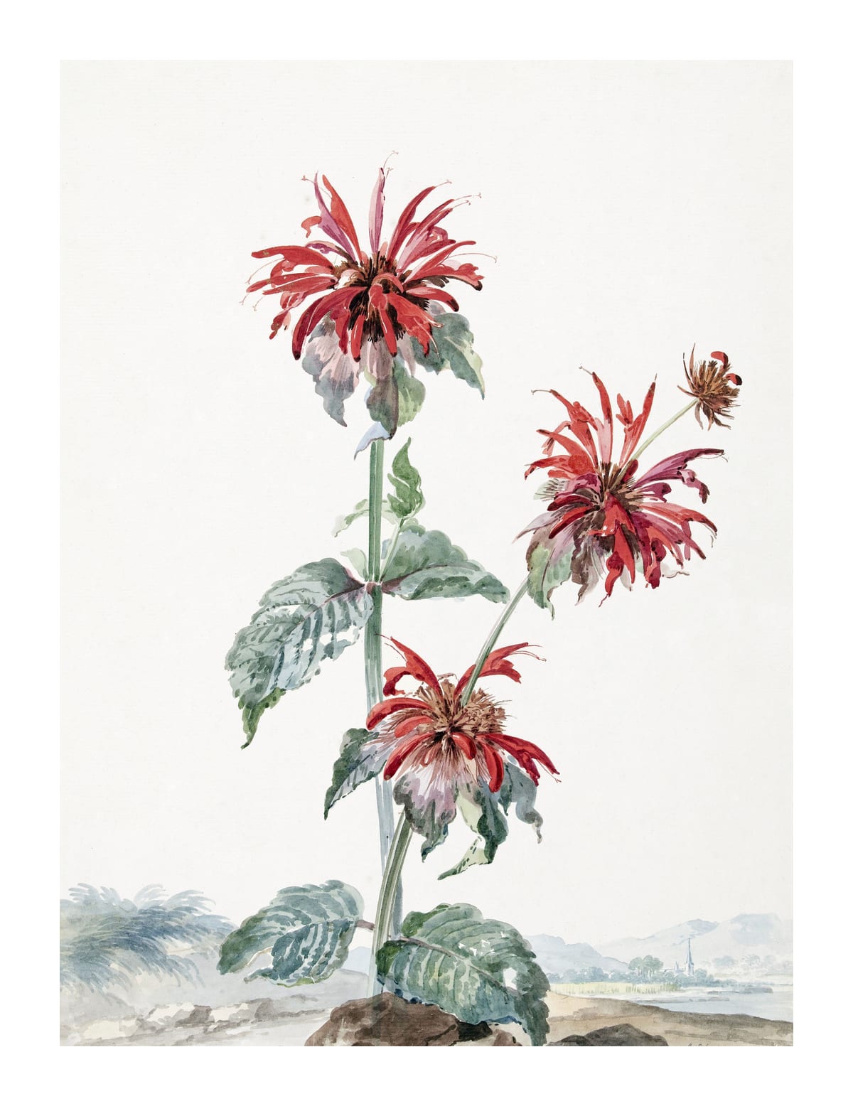 variant-27x35_with-margin