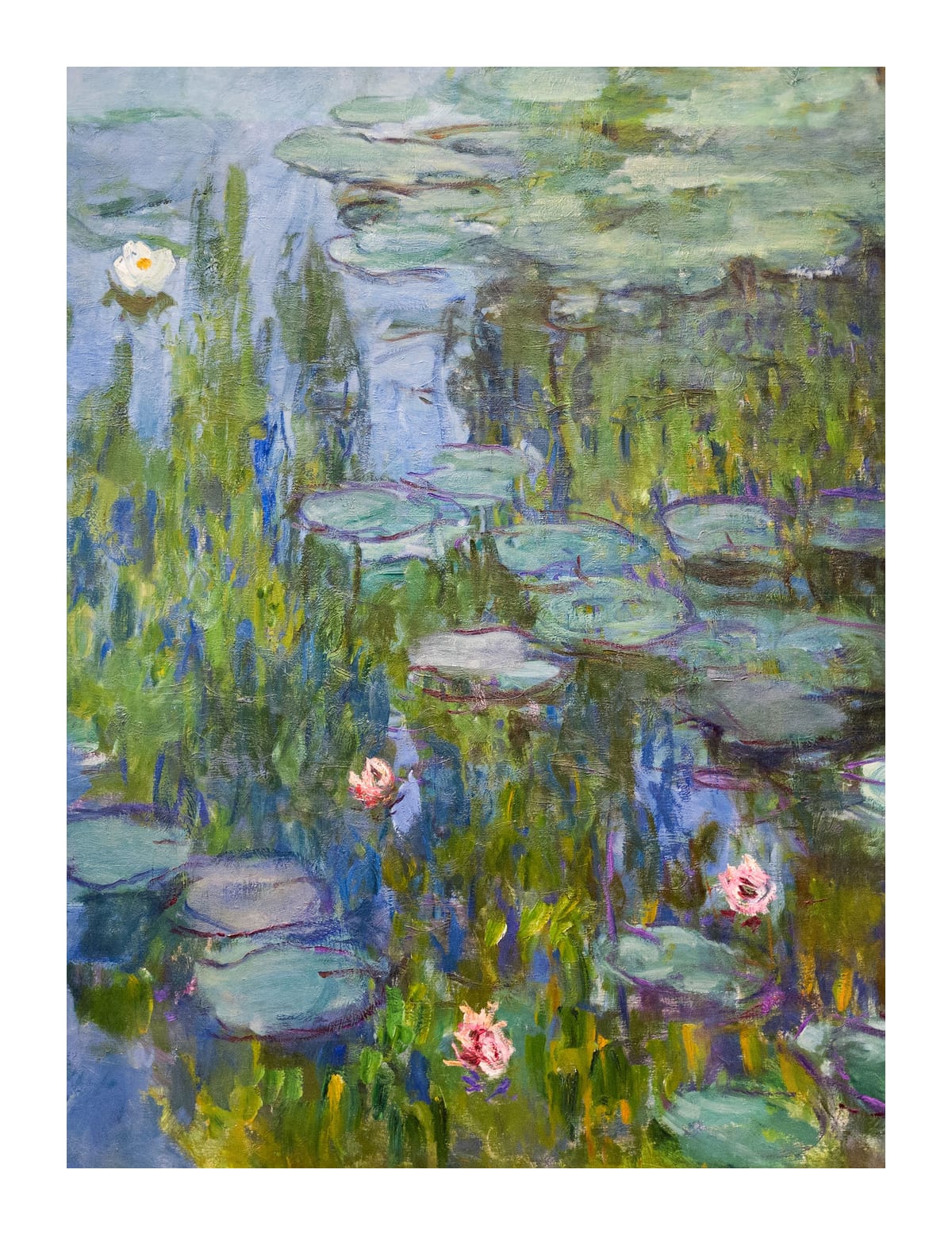 variant-27x35_with-margin