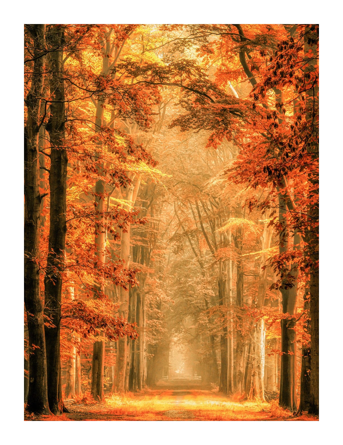 variant-27x35_with-margin