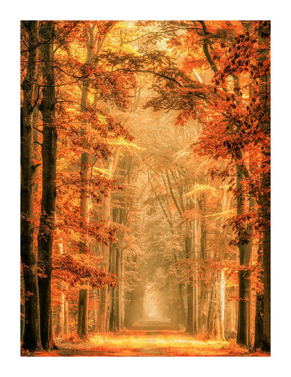 variant-27x35_with-margin