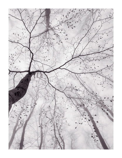 variant-27x35_with-margin