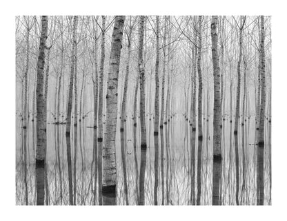 variant-27x35_with-margin