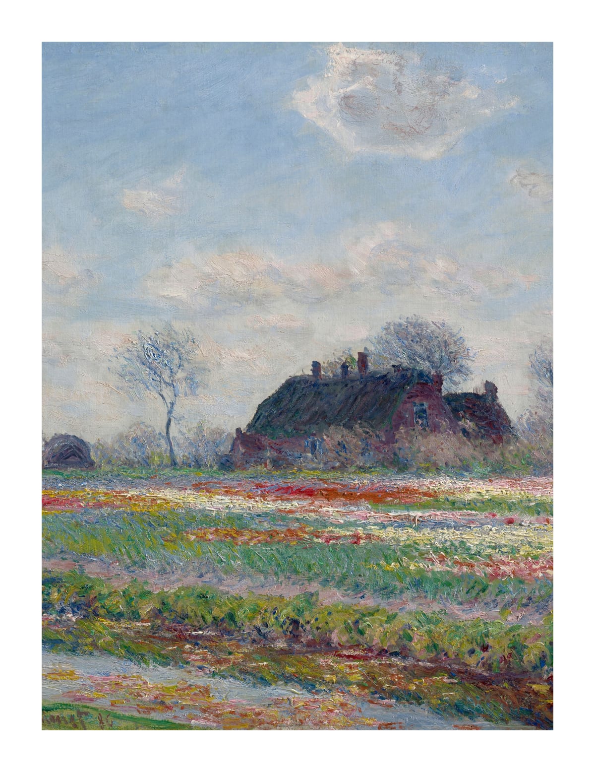 variant-27x35_with-margin