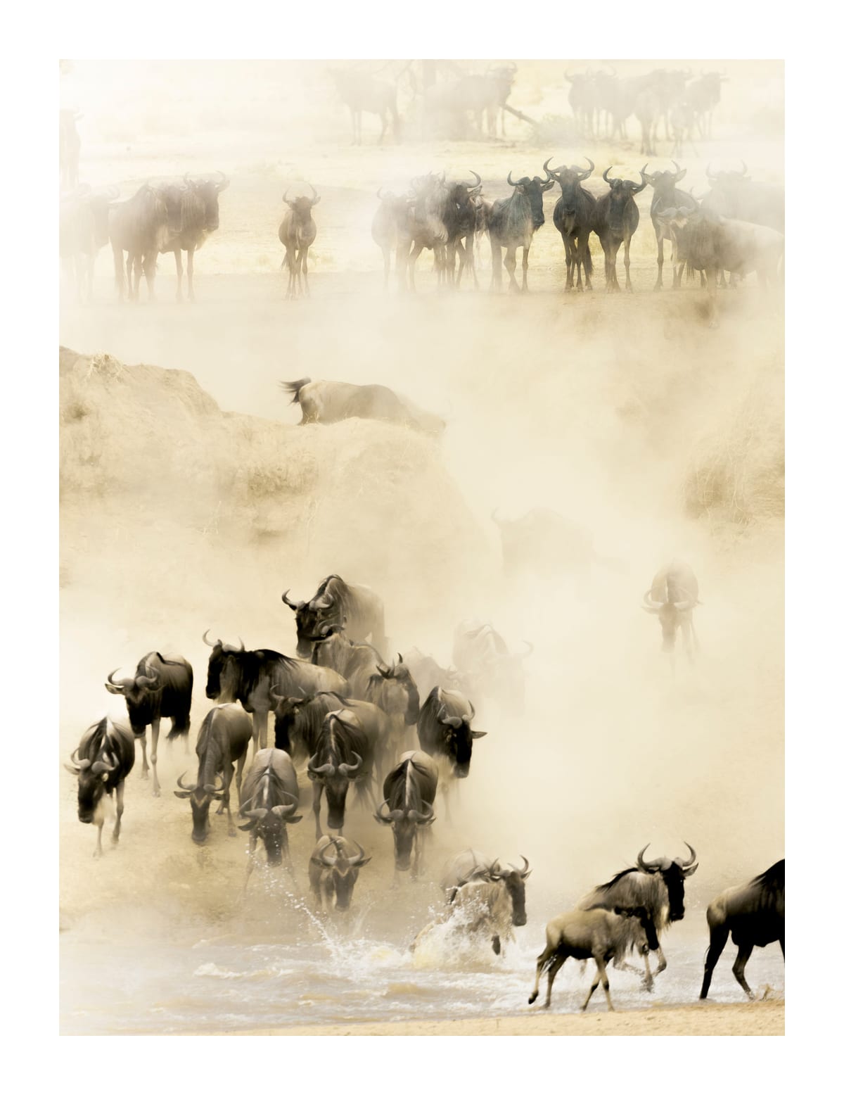 variant-27x35_with-margin