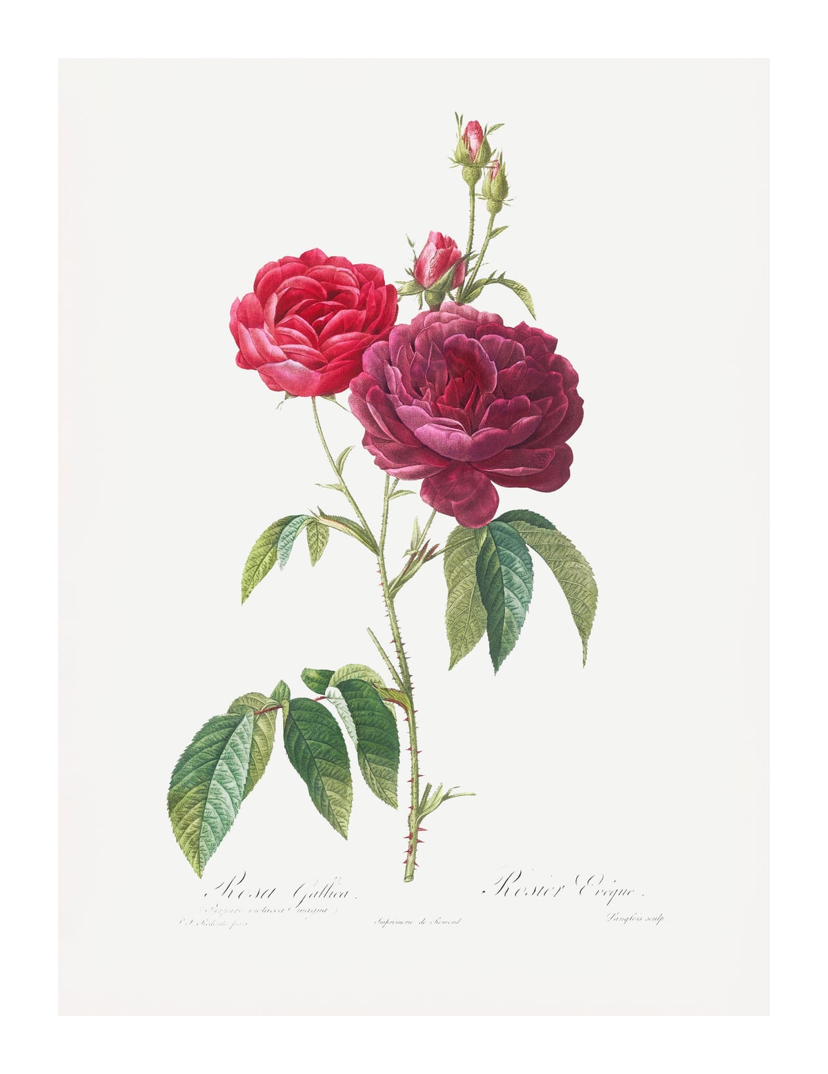variant-27x35_with-margin