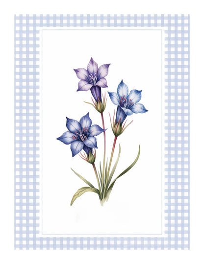 variant-27x35_with-margin