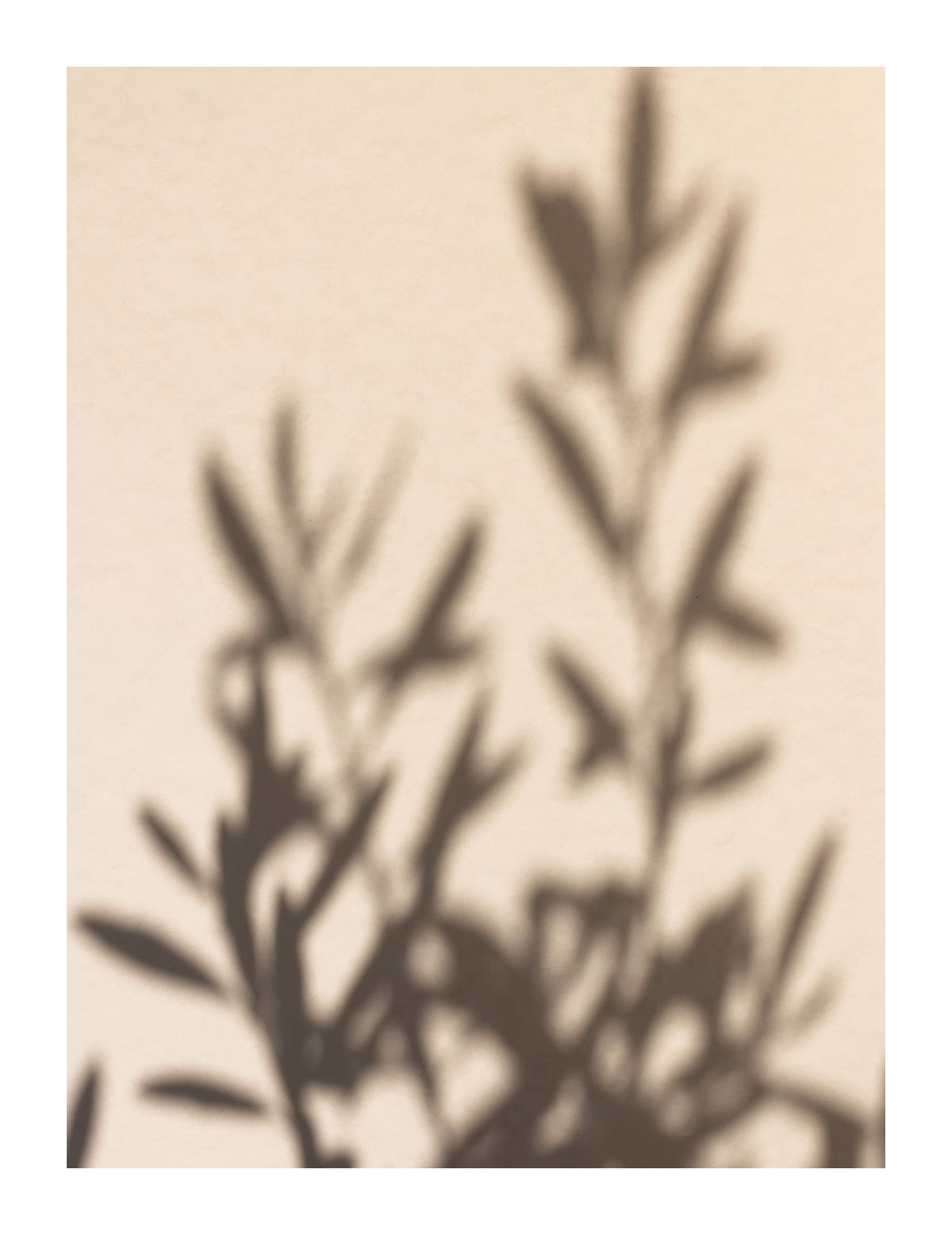 variant-27x35_with-margin