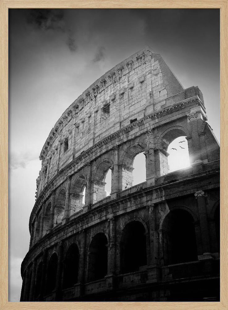 A dramatic, low-angle black and white photograph of the ancient Roman Colosseum. The sun shines brightly through one of the upper archways, creating a lens flare and silhouetting a few birds in flight against the cloudy sky. Poster