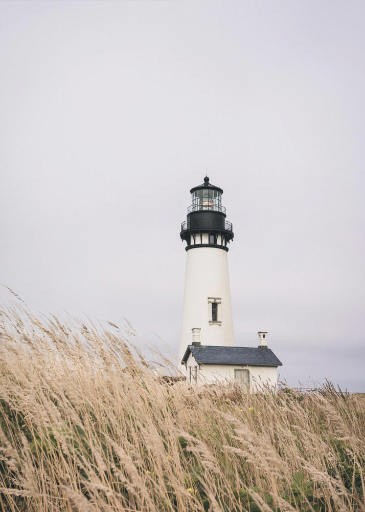 A framed photograph of a white lighthouse with a black top, set against a muted, overcast sky. The foreground is filled with tall, wild beige grass blowing in the wind, partially obscuring the base of the lighthouse. Decor